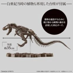 Bandai 1/32 Imaginary Skeleton Tyranosaurus Scale Model Kit 9 Bandai 1/32 Imaginary Skeleton Tyranosaurus Scale Model Kit -Hasbro Outlet Store 4573102618009c
