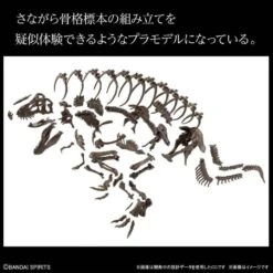 Bandai 1/32 Imaginary Skeleton Tyranosaurus Scale Model Kit 10 Bandai 1/32 Imaginary Skeleton Tyranosaurus Scale Model Kit -Hasbro Outlet Store 4573102618009e