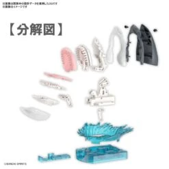 Bandai Exploring Lab Nature Great White Shark Model Kit -Hasbro Outlet Store 4573102633927e